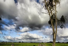 揭秘天涯娱乐圈神贴：那些年我们在天涯论坛追星的过瘾时光