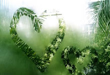 探索论坛世界的乐趣！天涯论坛经济论坛论坛，真的是好多话题都聊不完啊，大家在线上分享生活、讨论经济，感觉像一个大家庭，亲亲热热的。